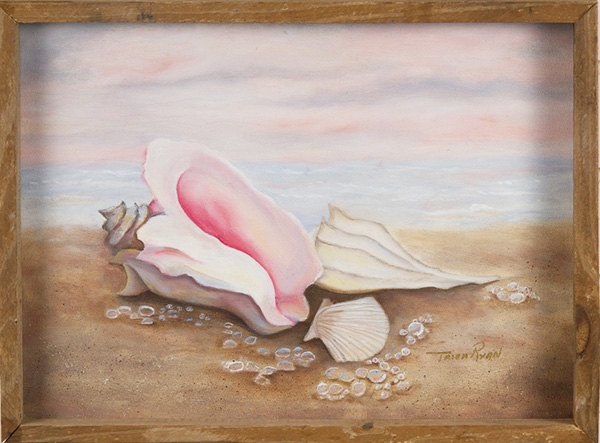 Sea Shell by Trish Ryan