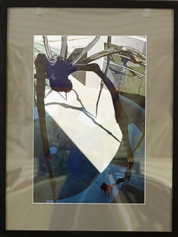 Third Place - Encounter with Maman by Janet Clements, Photograph, $150